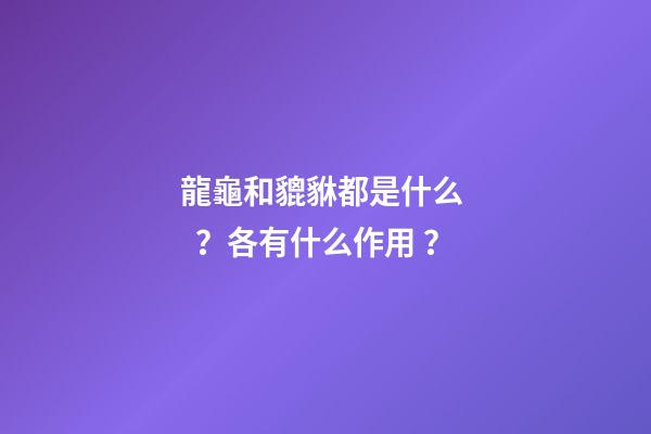 龍龜和貔貅都是什么？各有什么作用？
